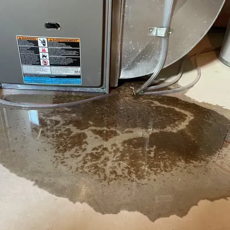 Appliance Leak Cleanup in Logan County, WV